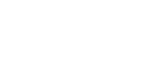 אריה פוקס - עורך דין. תמונת לוגו